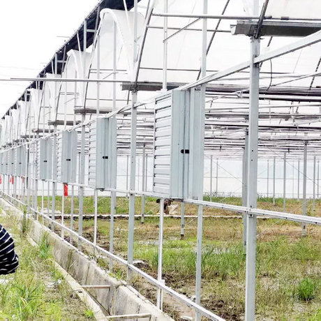 applicationVegetable-film-greenhouse7_364_364.jpg